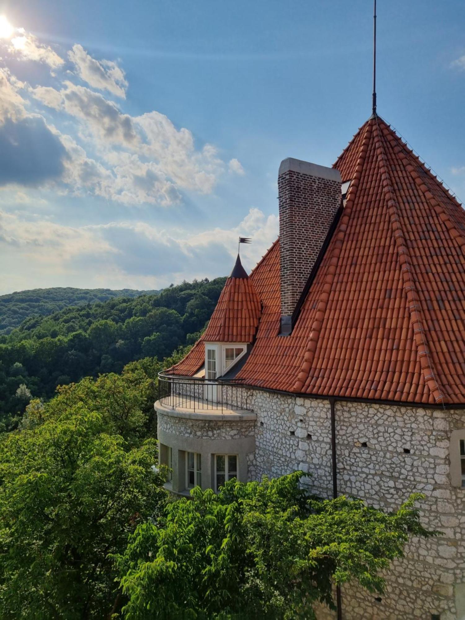 Zinar Castle Ξενοδοχείο Krasków Εξωτερικό φωτογραφία